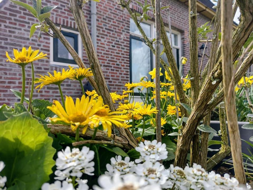 Grytmanshoeve, Vakantiehuis Met Glamping Niawier Exterior photo